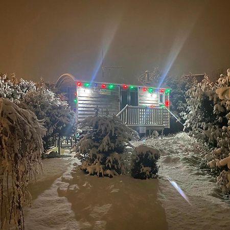 The Little John Petite Cosy Log Cabin - Sleeps 2 Near Sherwood Forest At Fairview Farm Nottingham Set In 88 Acres Villa Blidworth Bagian luar foto